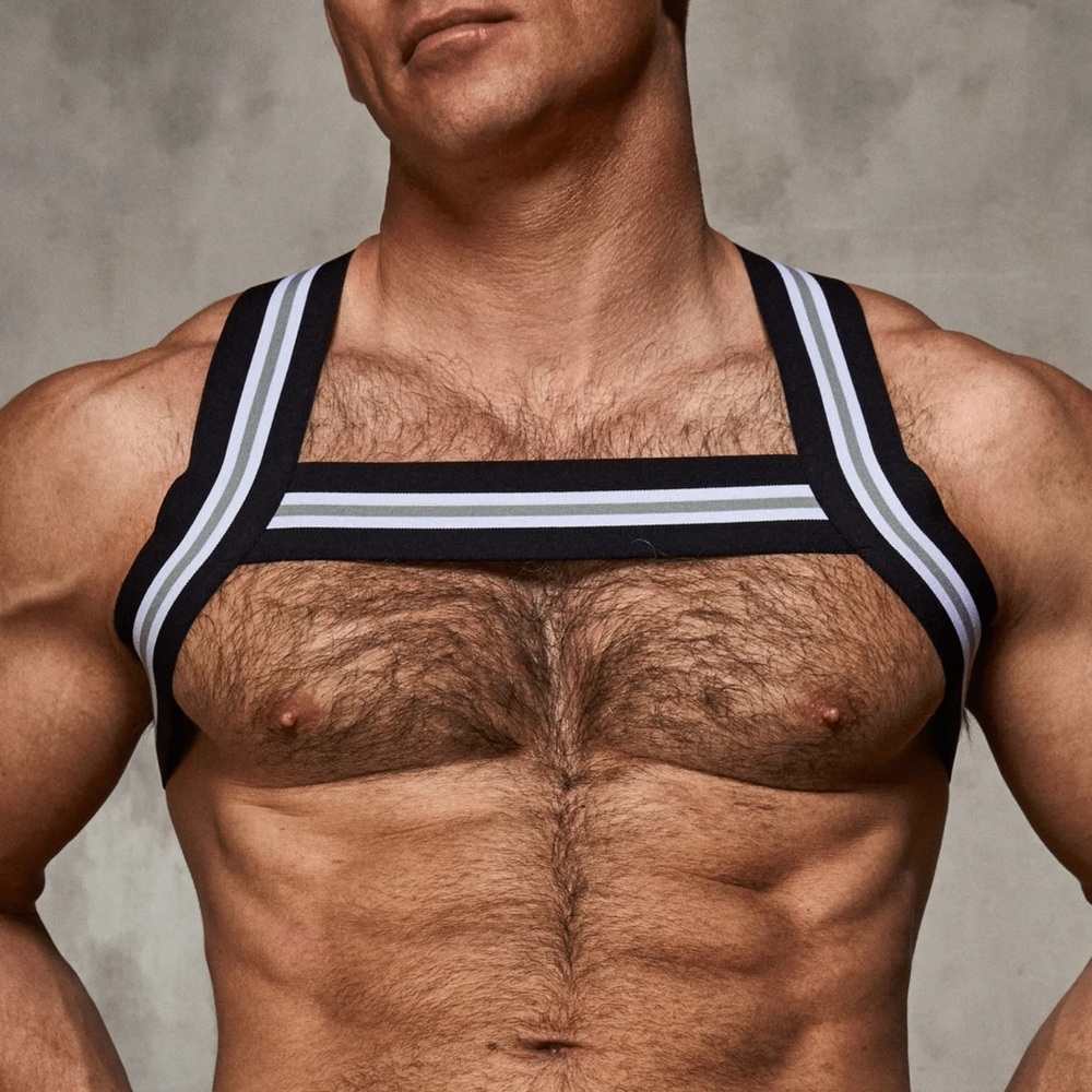 NEW - Coyote Varsity Harness XL